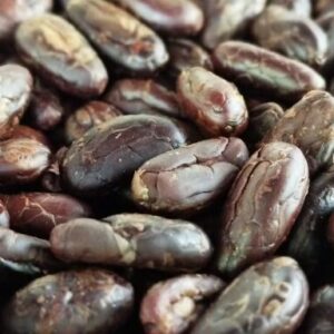 Semillas de cacao tostado y pelado | 1kg